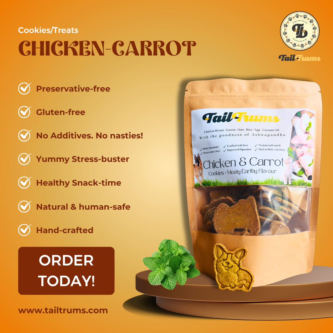 Daily Strength Nutrition Combo Dog Food