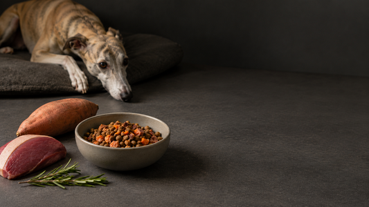 Limited Ingredient & Novel Protein Dog Food: The Modern Guide to Cleaner Nutrition