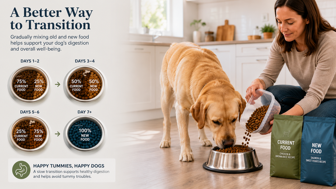 How to Transition Your Dog to a New Food Without Diarrhea: A Complete Guide for Sensitive Stomachs