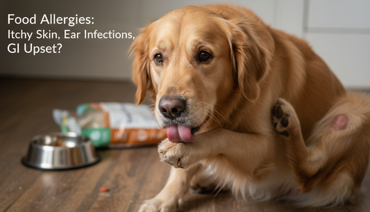 How Do I Know If My Dog Has Food Allergies or Sensitivities?