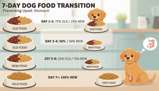 How Do I Transition My Dog to a New Food Brand Without Diarrhea?