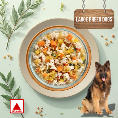 Pumpkin Chunkin Chicken -  Large Dog Food