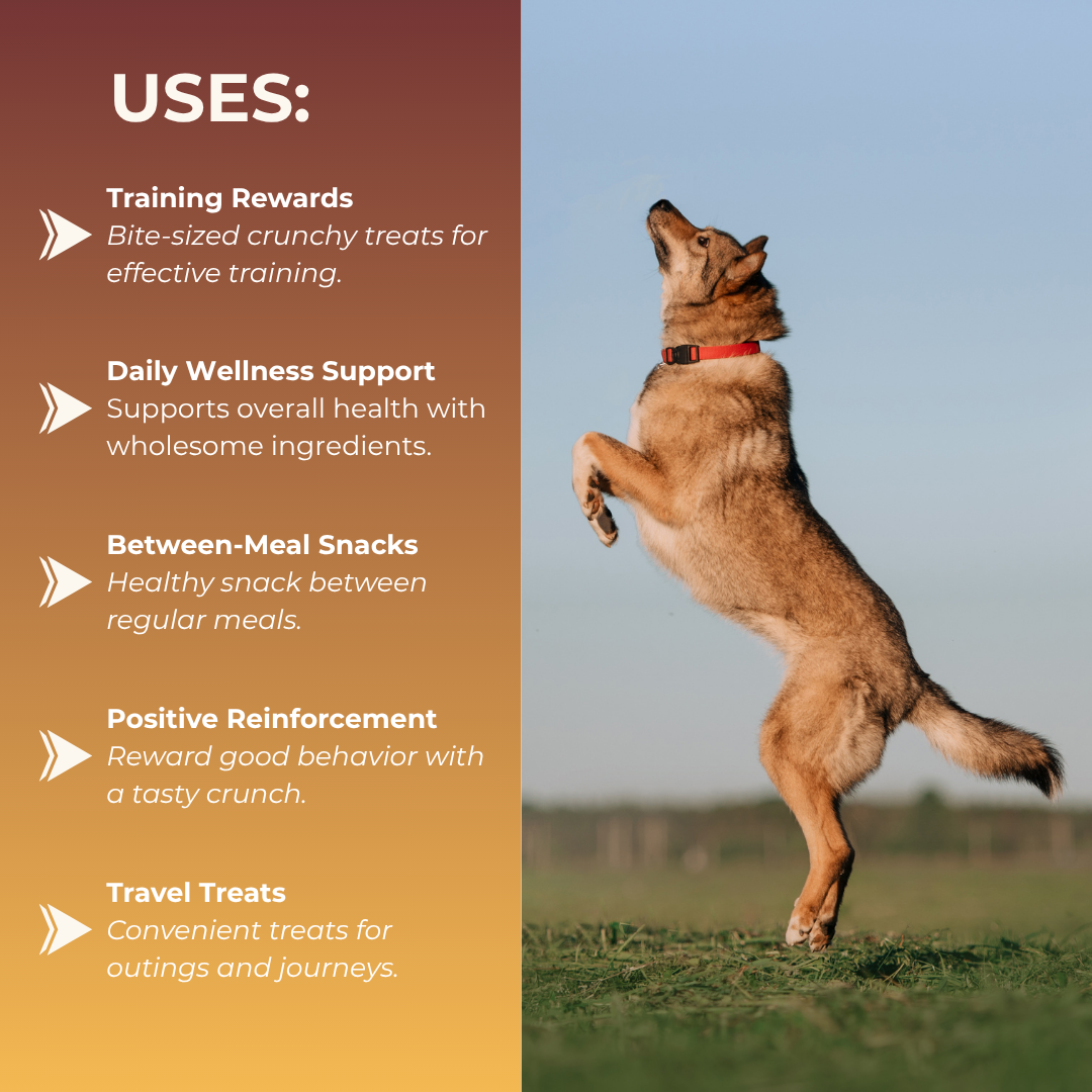 Banana Spinach Dog Biscuits - Uses