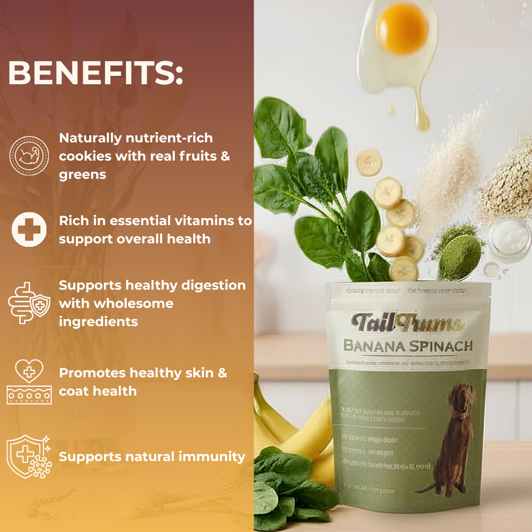 Complete Nutrition Combo Dog Food
