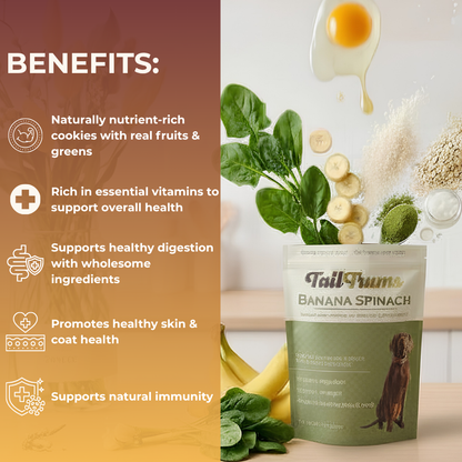 Complete Nutrition Combo Dog Food