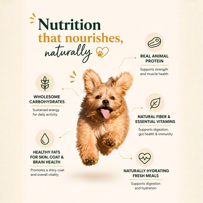 Chicken Oats Porridge - Small Breeds Dog Food