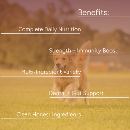 Complete Nutrition Combo Dog Food