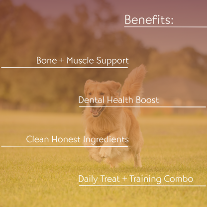 Daily Strength Nutrition Combo Dog Food