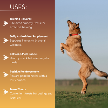 Daily Strength Nutrition Combo Dog Food