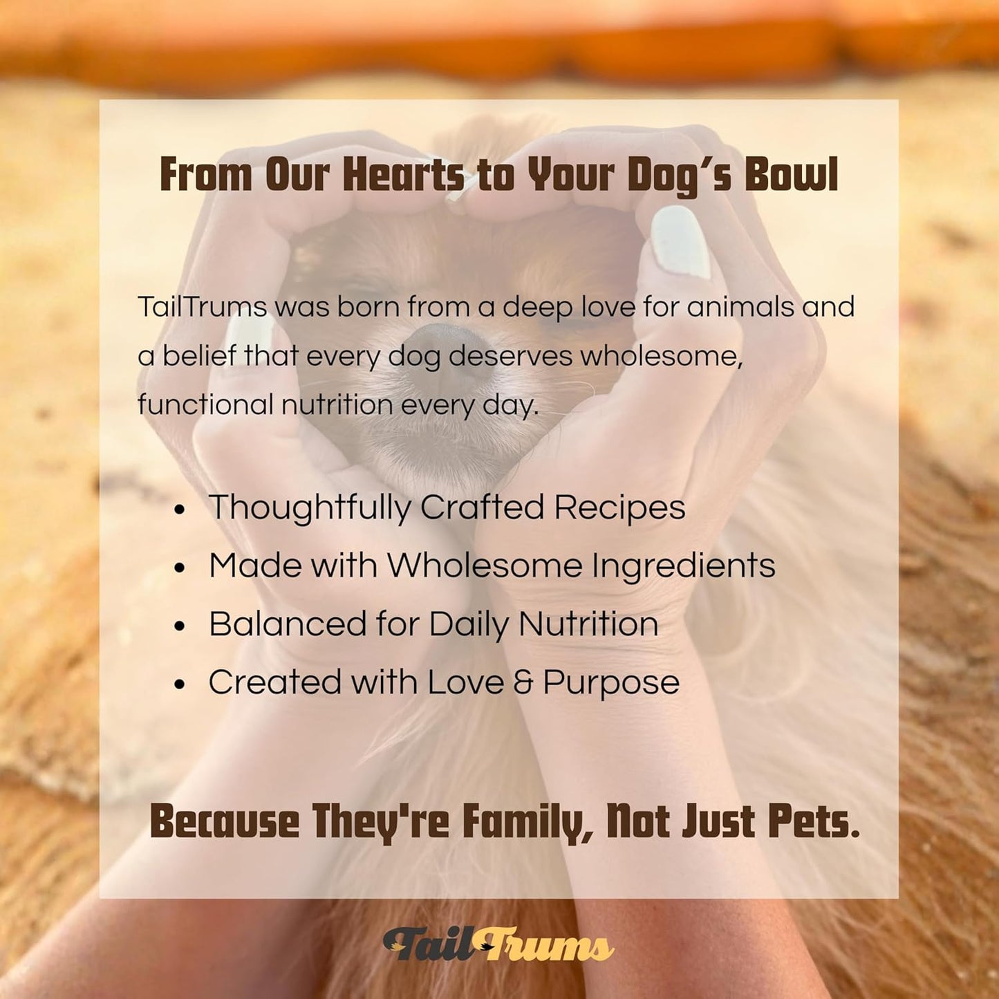 Dog Biscuits -About Us