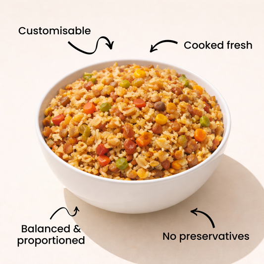 Fun Guy Chicken Meal – Large Dog Food