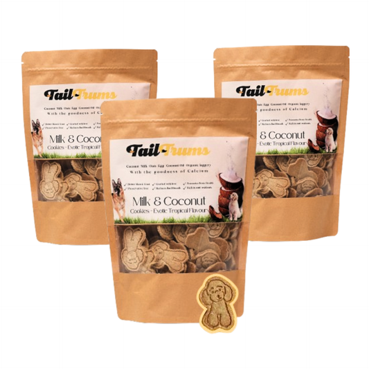 Milk Coconut Cookies - 750g (250gxPack of3) Dog Biscuits