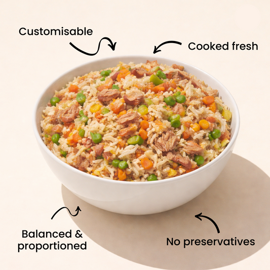 Pumpkin Chunkin Chicken -  Large Dog Food