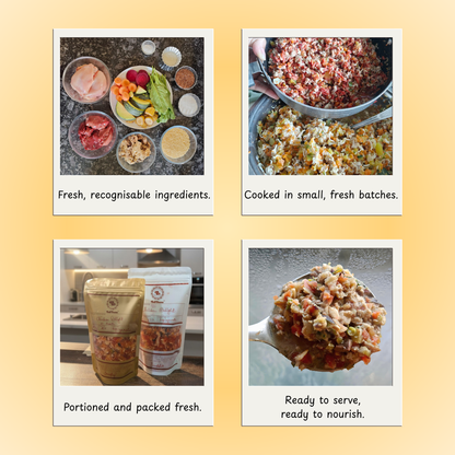 Paneer Grain-Free Meal - Small Breeds Dog Food