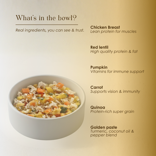Pumpkin Chunkin Quinoa - Chicken Dog Food