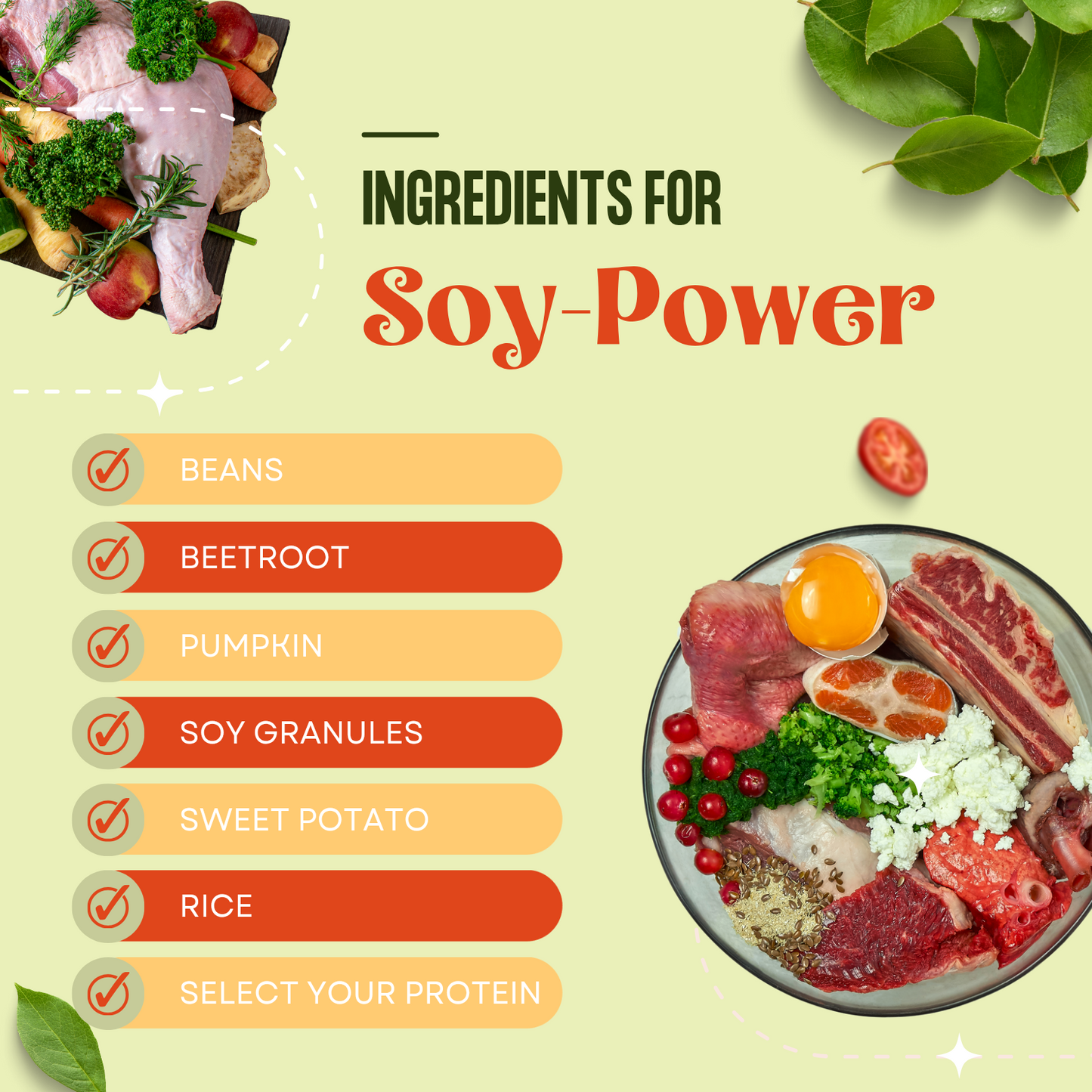Soy Power Meal - Large Dog Food