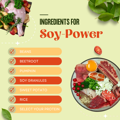 Soy Power Meal - Large Dog Food