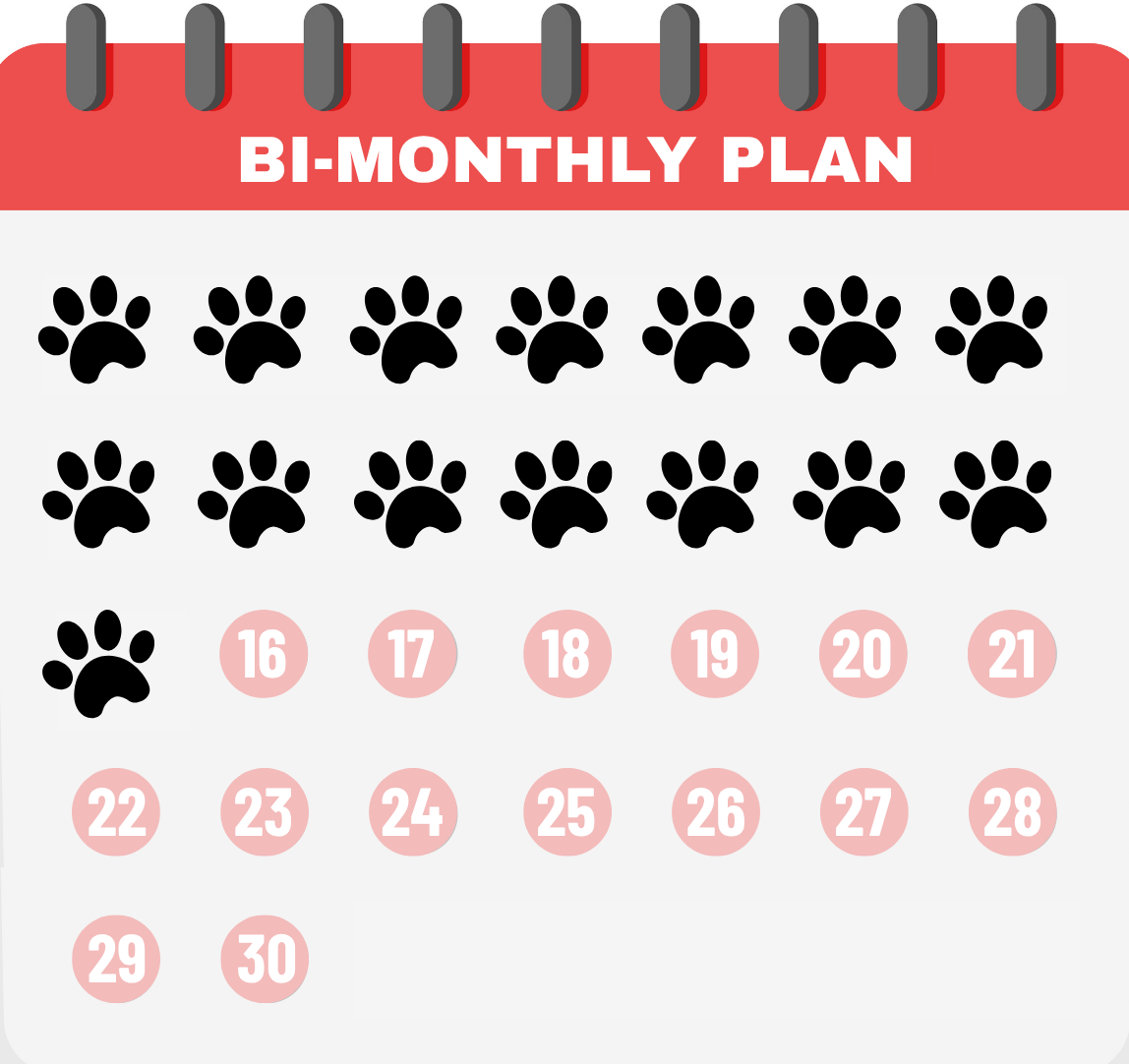Tailtrums_-_Dog_food_subscription_Bi_monthly_15_Days