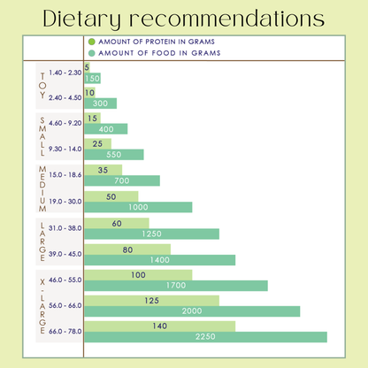 Chart showing dietary recommendations for different dog sizes in terms of protein and food grams. Tailtrums - Pumpkin chunkin dog food 