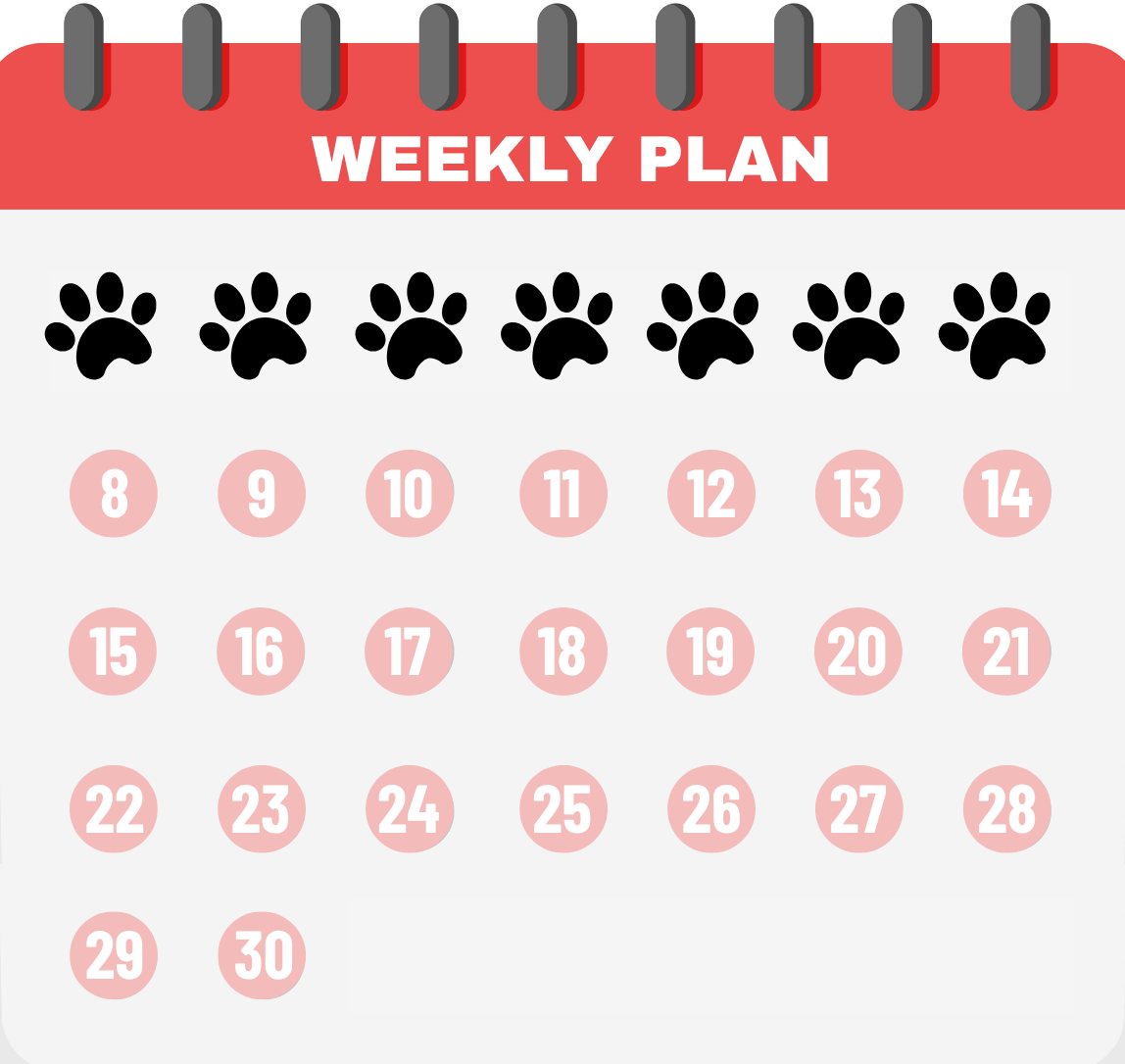 Tailtrums - Subscription plan Weekly Plan 7 Days