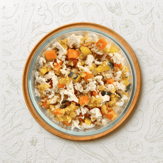 Glass bowl with a colorful rice dish on a textured white background - Tailtrums Pumpkin chunkin dog food 