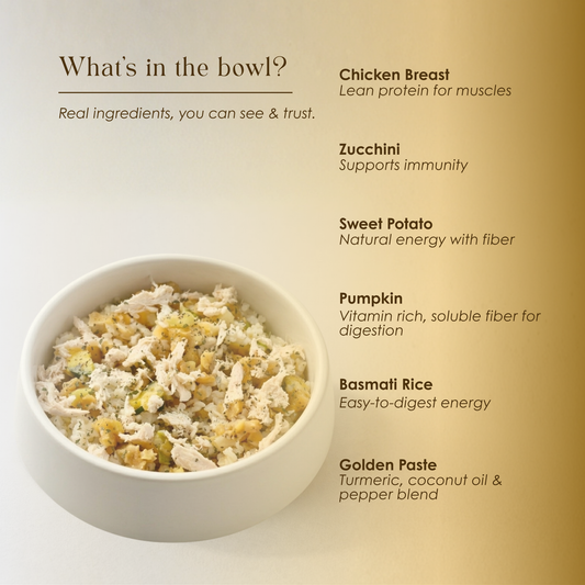 Tummy Delight Chicken Rice Meal for Dogs - All Breeds