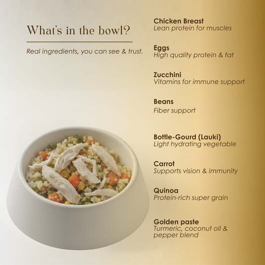 Ultimate Veggie Quinoa Meal - All Breeds Dog Food