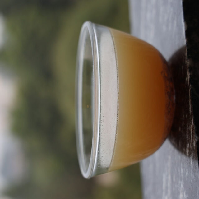 Liver and Bone Broth - Image 4