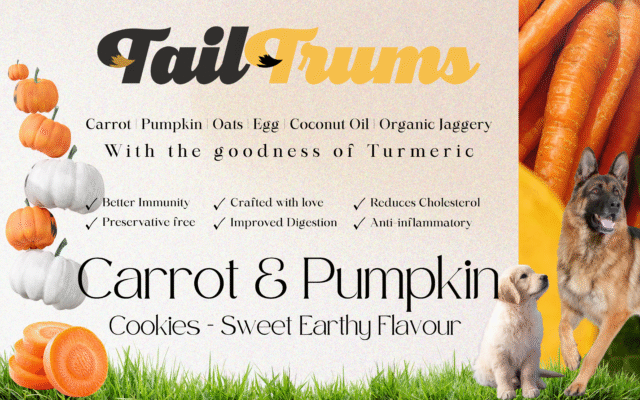 Carrot Pumpkin Cookies (Biscuits) - Image 3