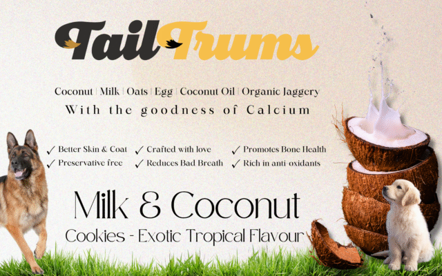 Milk Coconut Cookies (Biscuits) - Image 3