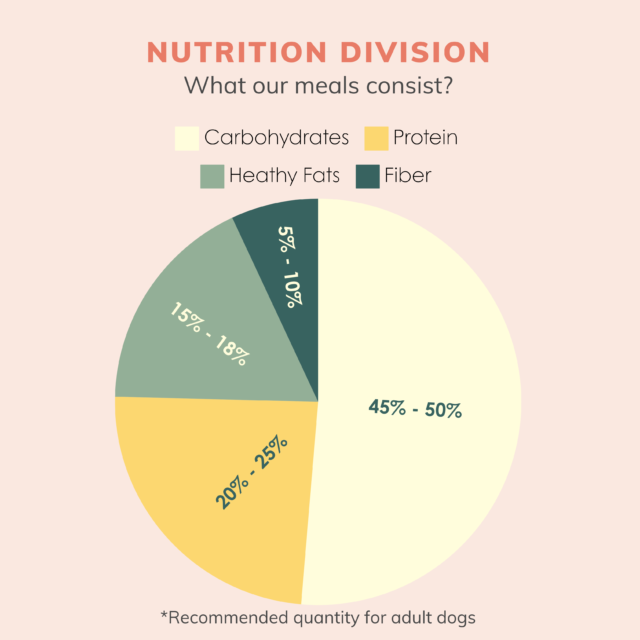 Monthly subscription plan - Image 3