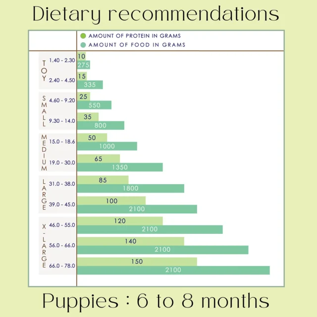 Soy Power Puppies - Image 4