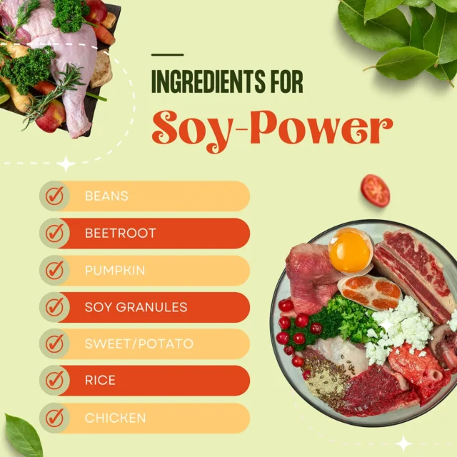 Soy Power Adults - Image 2
