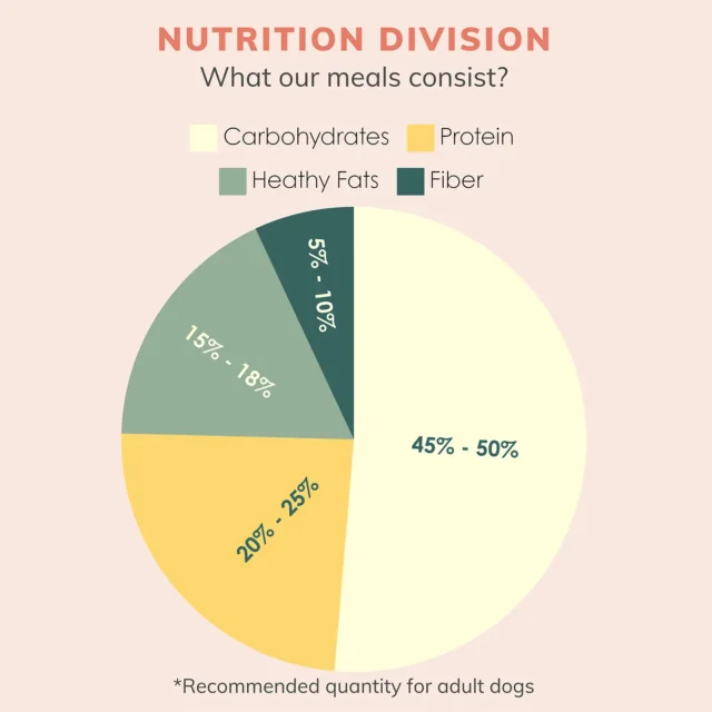 Soy Power Adults - Image 3