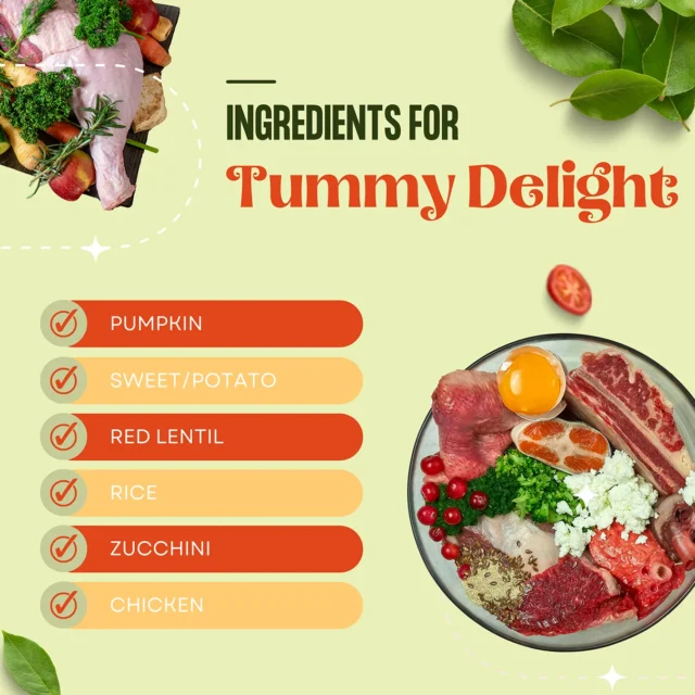 Tummy Delight Adults - Image 2
